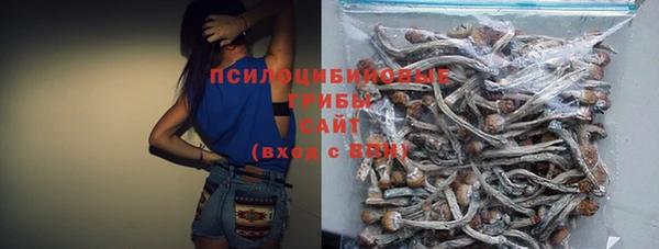mdpv Арсеньев