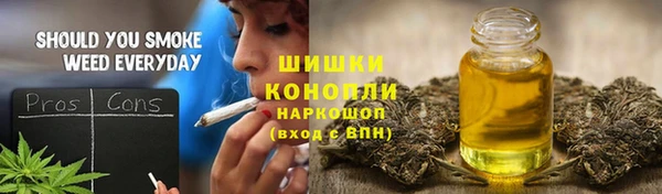 сатива Аркадак