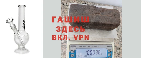 сатива Аркадак