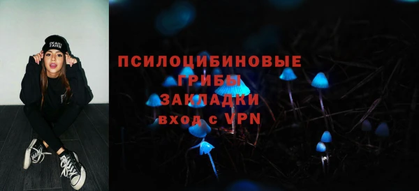 сатива Аркадак