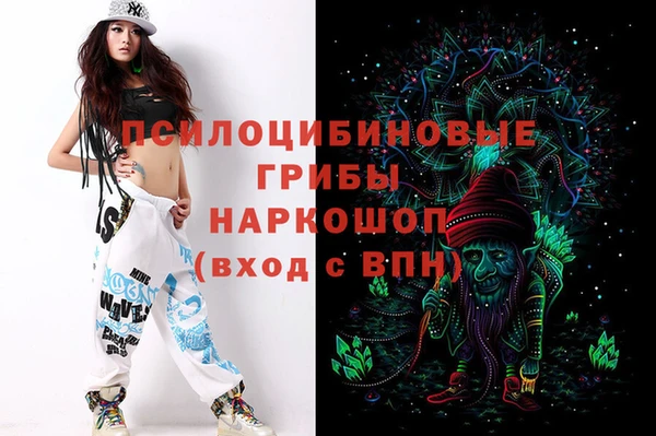 сатива Аркадак