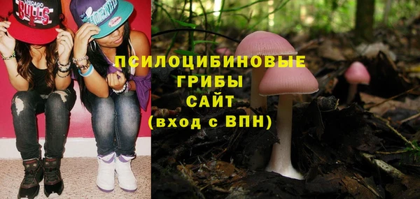 ALPHA PVP Армянск