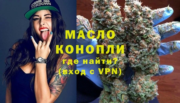 сатива Аркадак