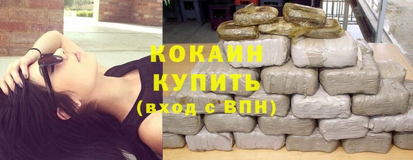 сатива Аркадак